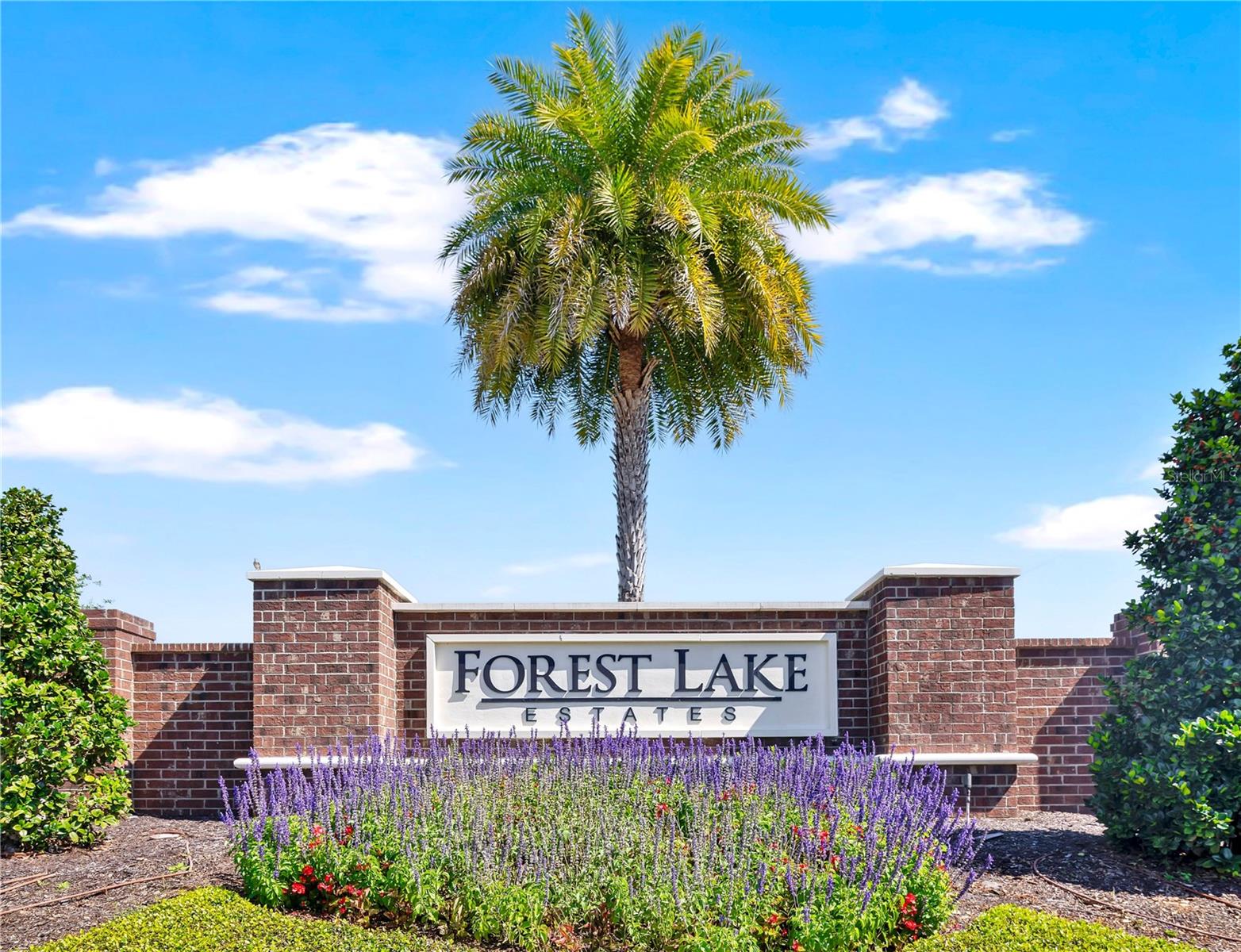 850 BUCKLEBURY LOOP, APOPKA, FL, 32703