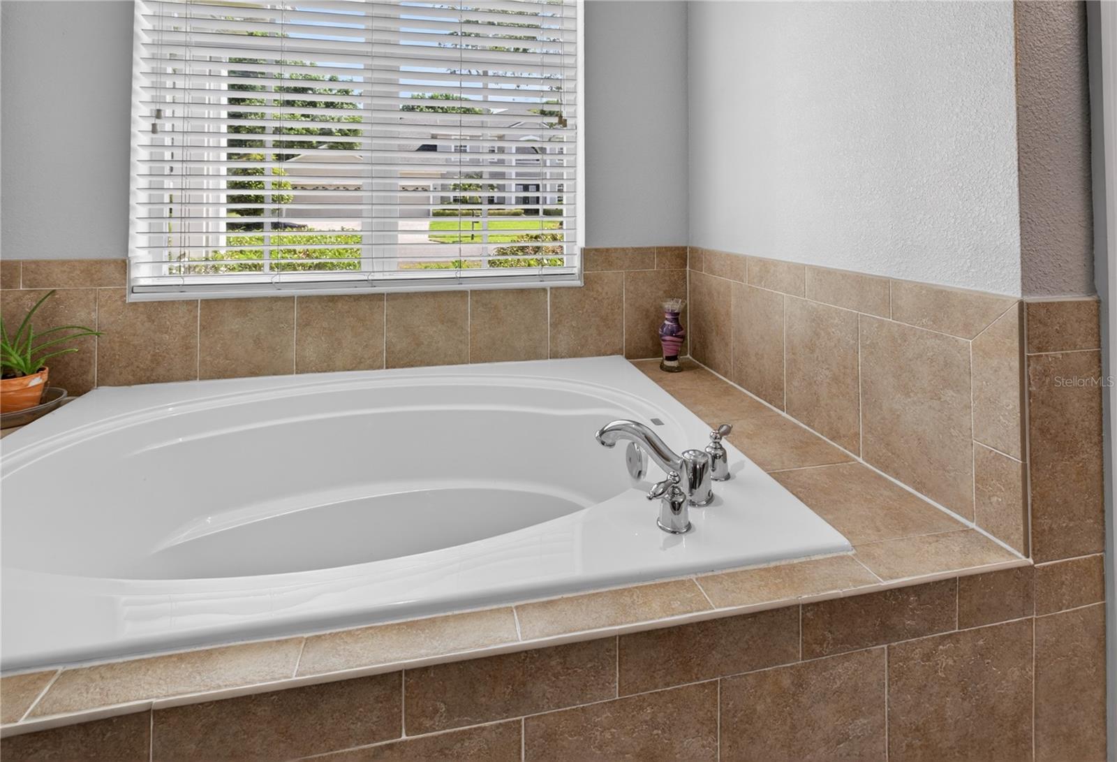 23626 VALDERAMA LN, SORRENTO, FL, 32776