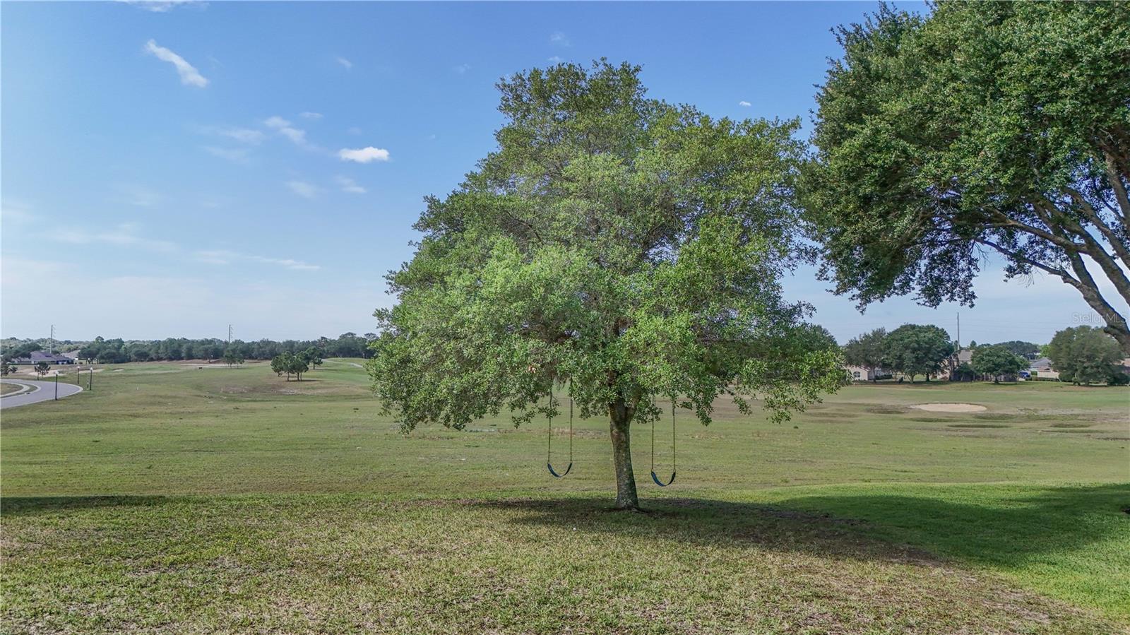 23626 VALDERAMA LN, SORRENTO, FL, 32776