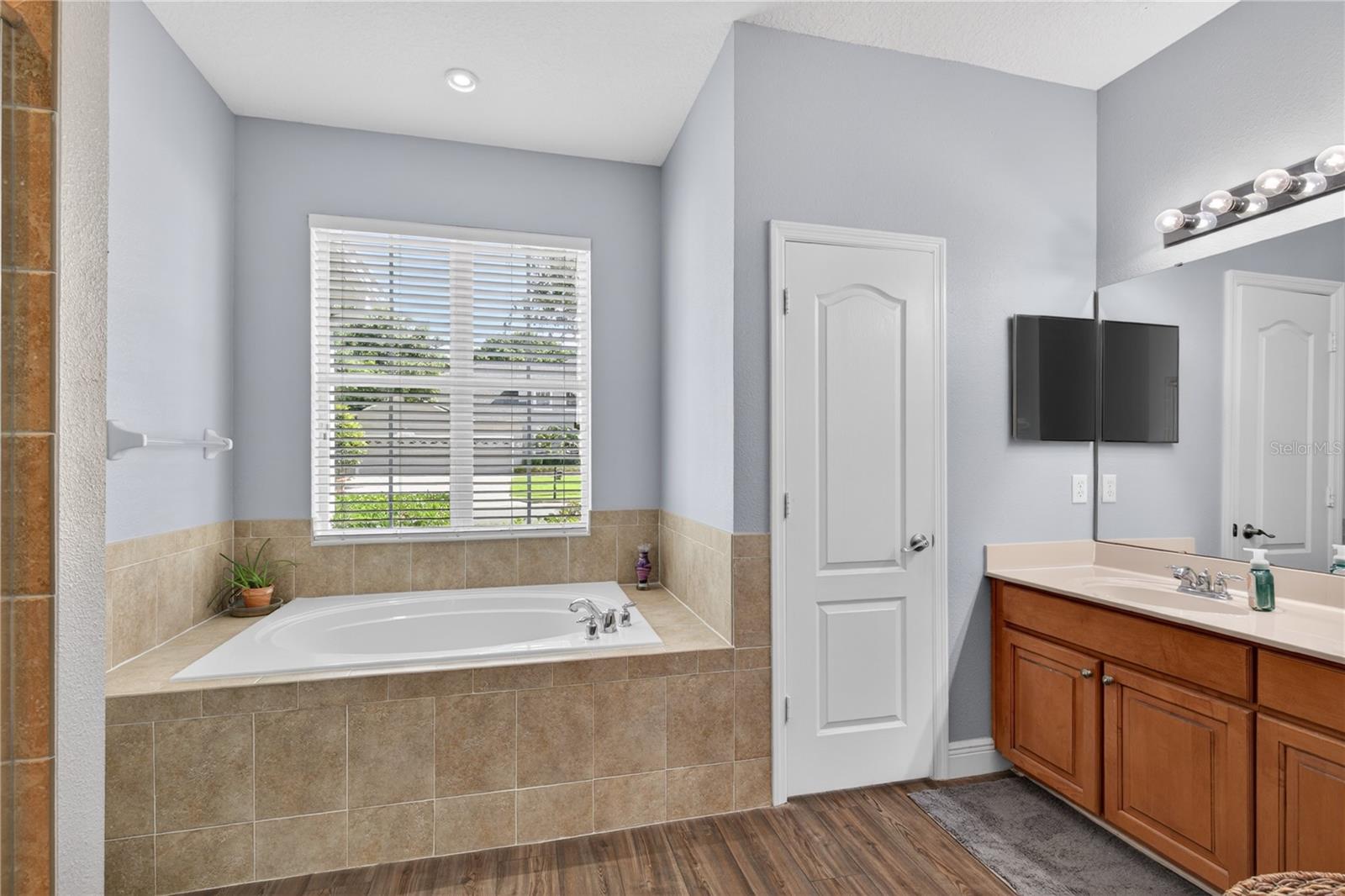 23626 VALDERAMA LN, SORRENTO, FL, 32776