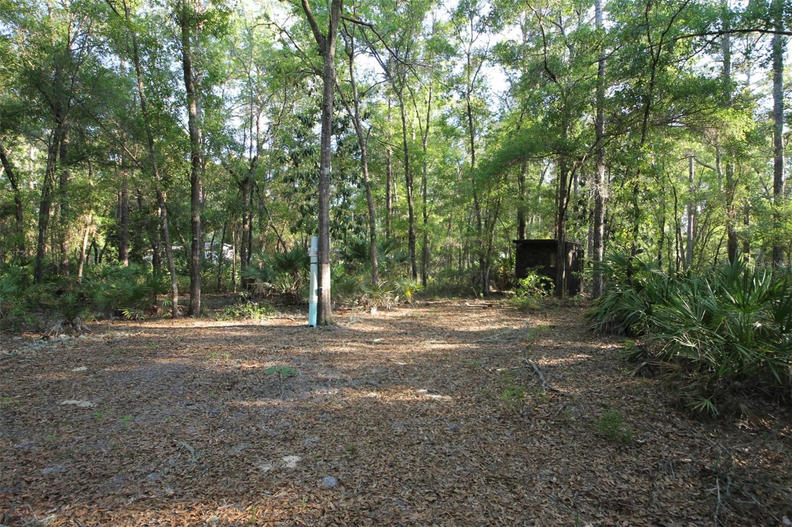 7982 W MAYFAIR DR, HOMOSASSA, FL, 34448
