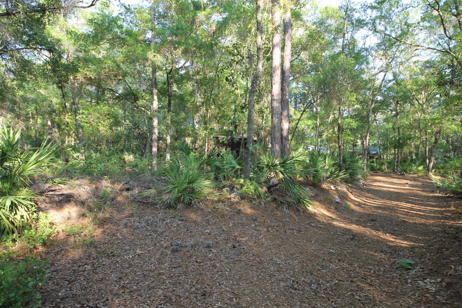 7982 W MAYFAIR DR, HOMOSASSA, FL, 34448