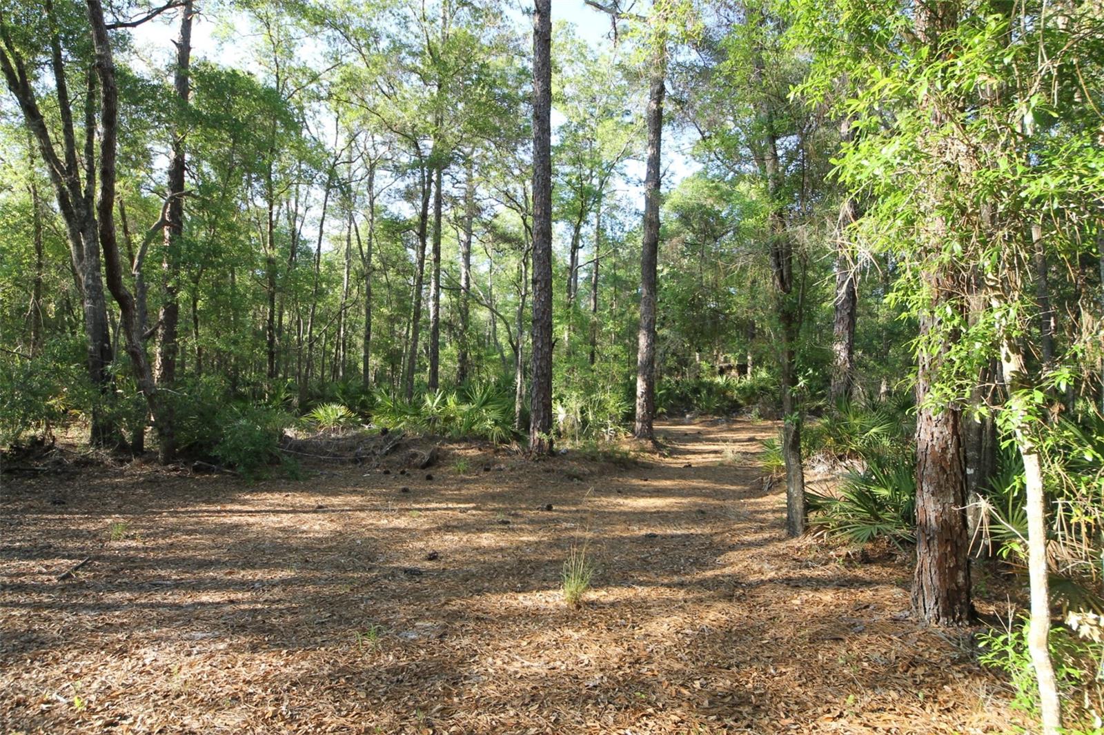 7982 W MAYFAIR DR, HOMOSASSA, FL, 34448