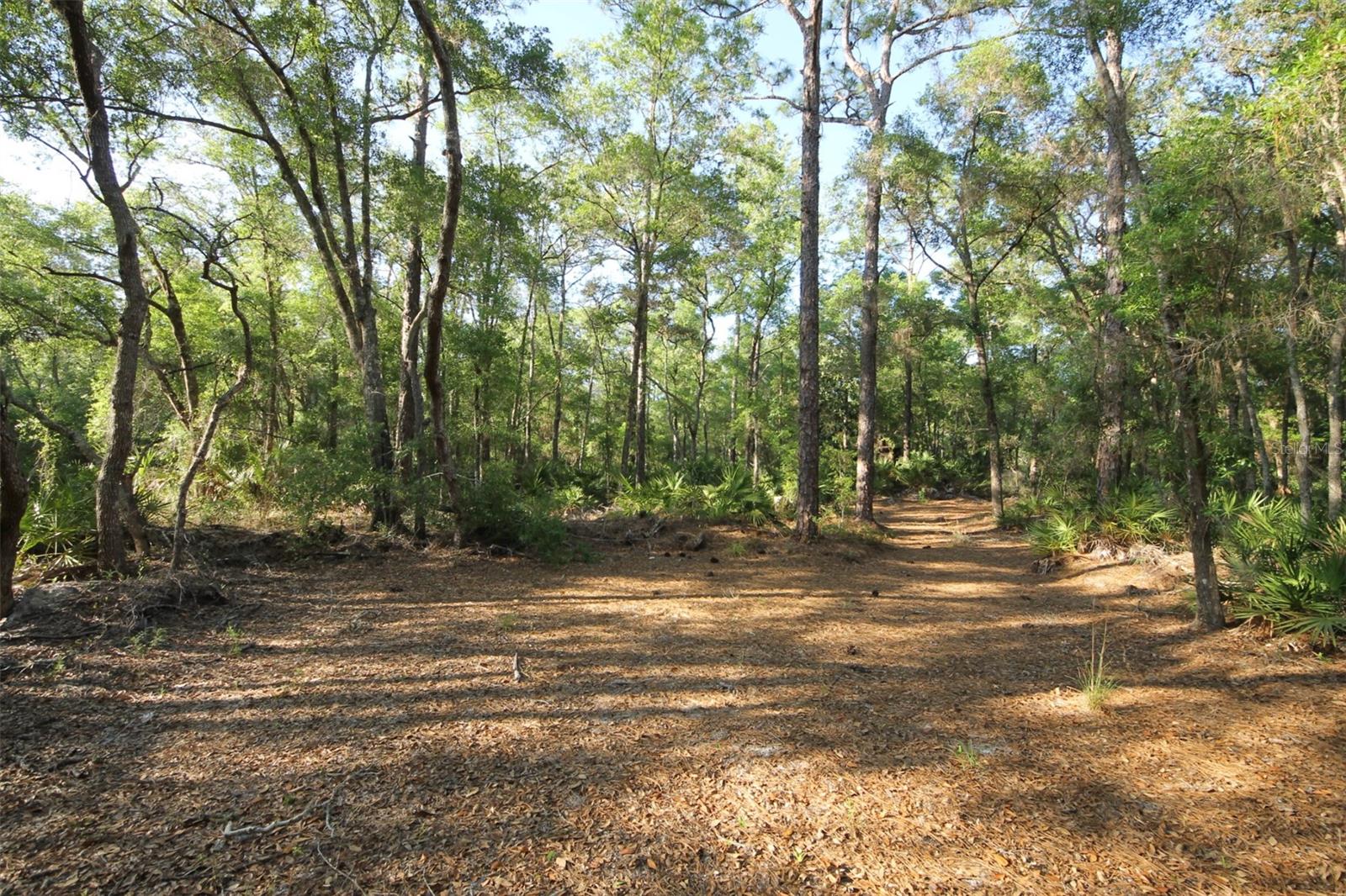 7982 W MAYFAIR DR, HOMOSASSA, FL, 34448