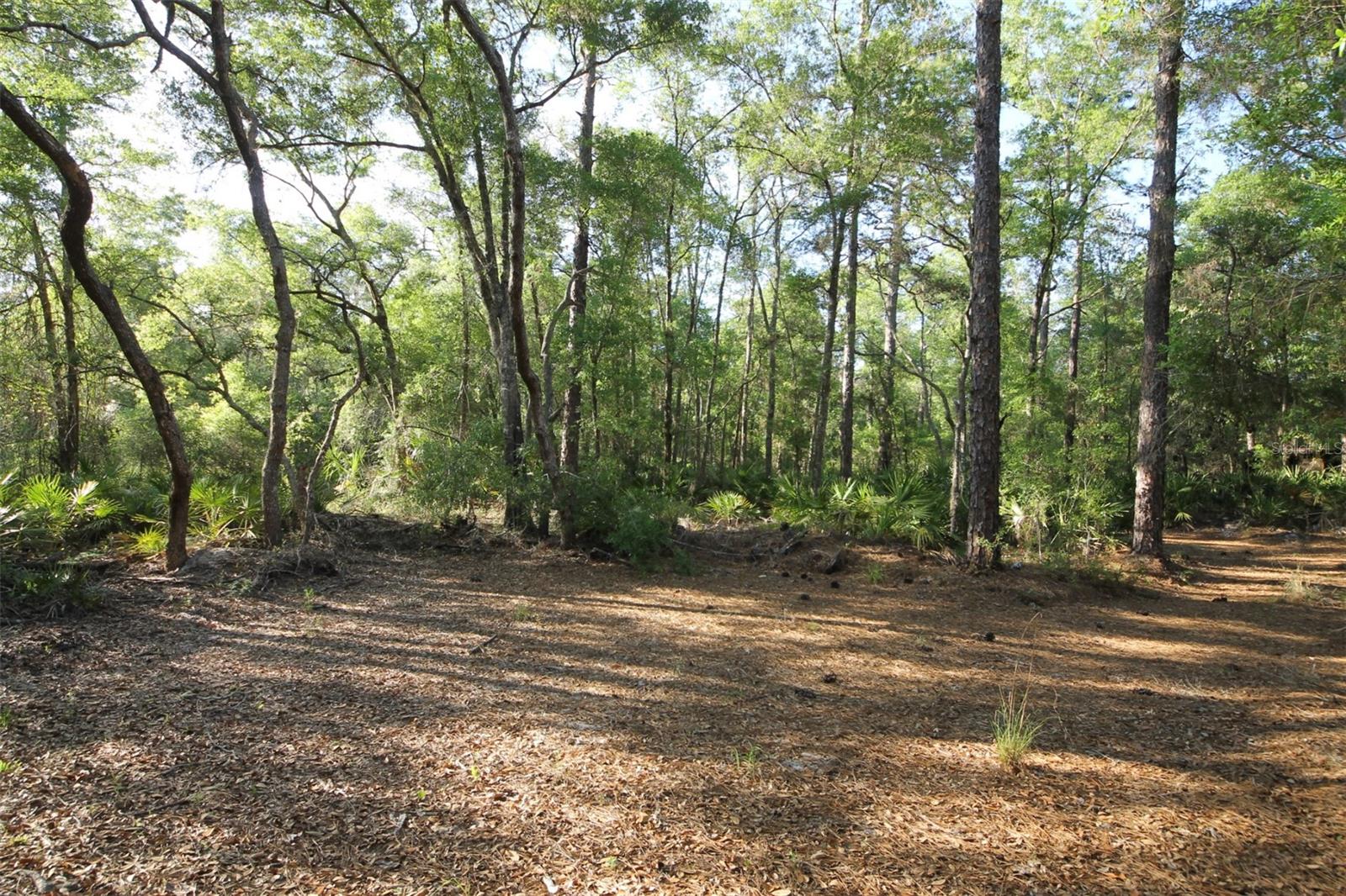 7982 W MAYFAIR DR, HOMOSASSA, FL, 34448