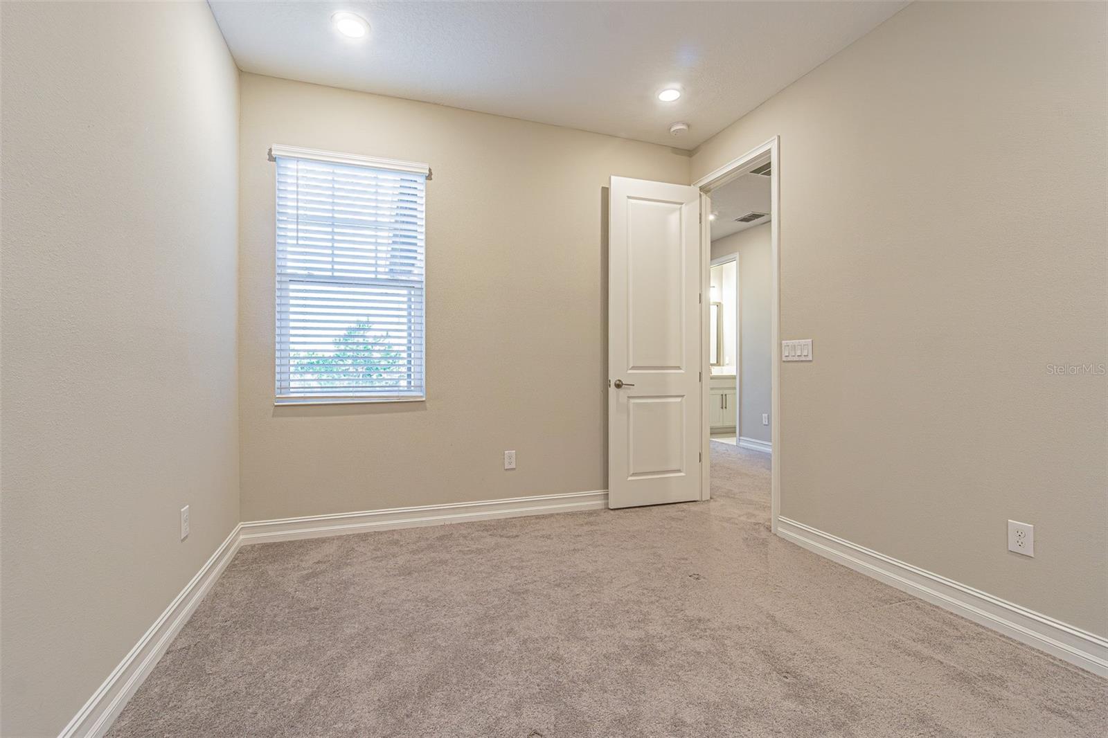 5062 SAN MARTINO DR, WESLEY CHAPEL, FL, 33543