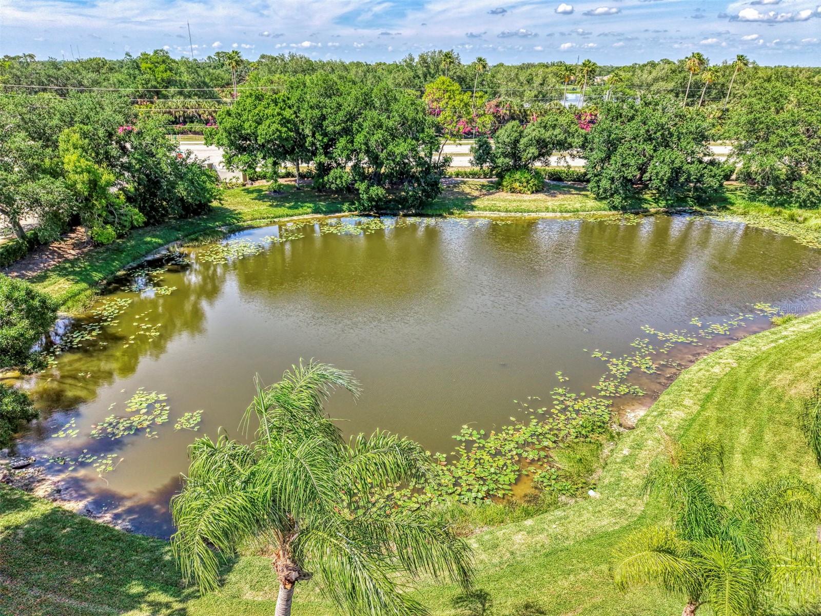 900 ADDINGTON CT #203, VENICE, FL, 34293