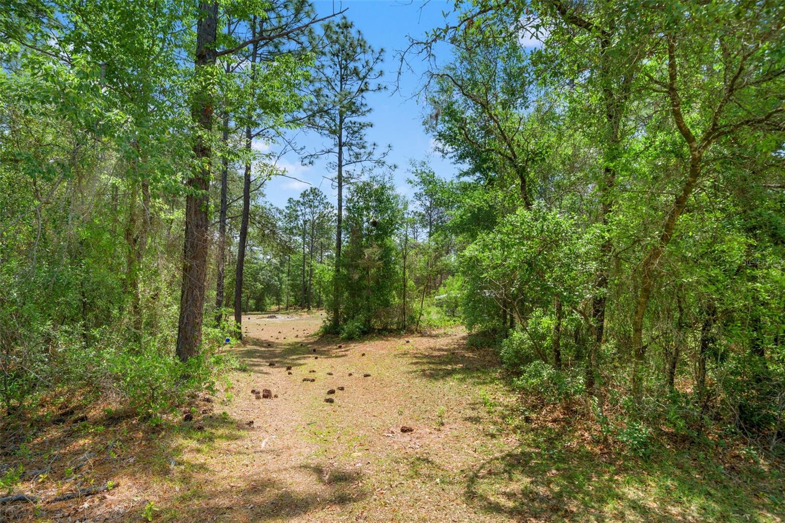 9031 N MANILA TER, DUNNELLON, FL, 34433