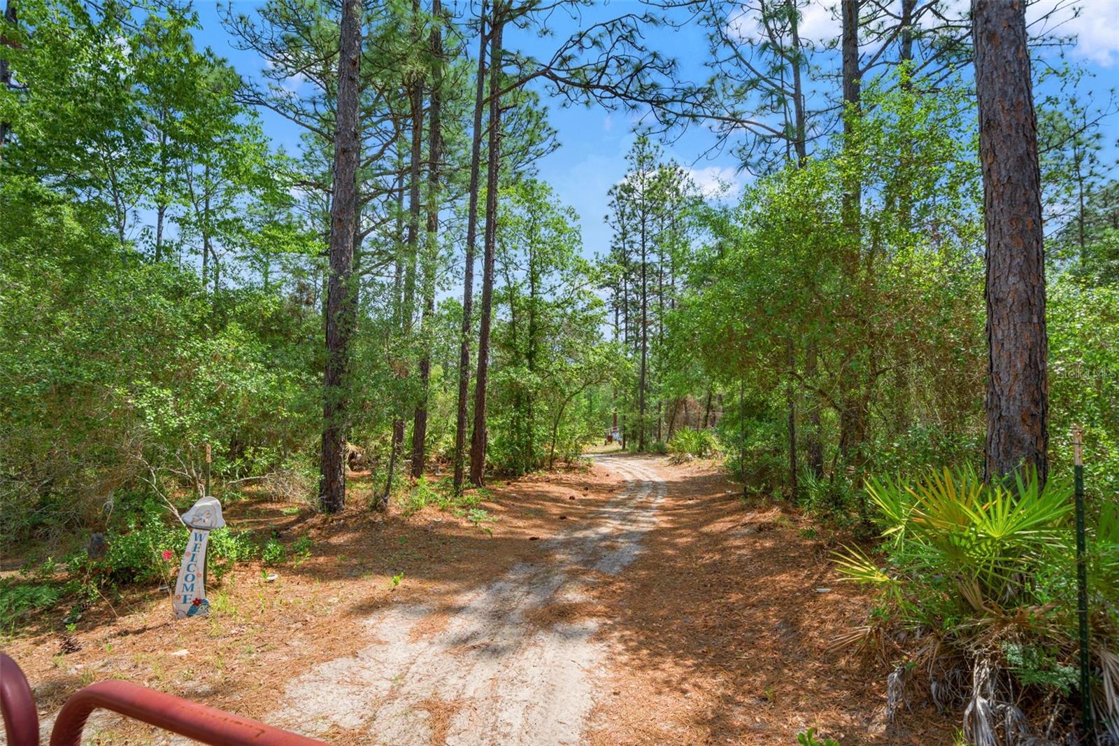 9031 N MANILA TER, DUNNELLON, FL, 34433