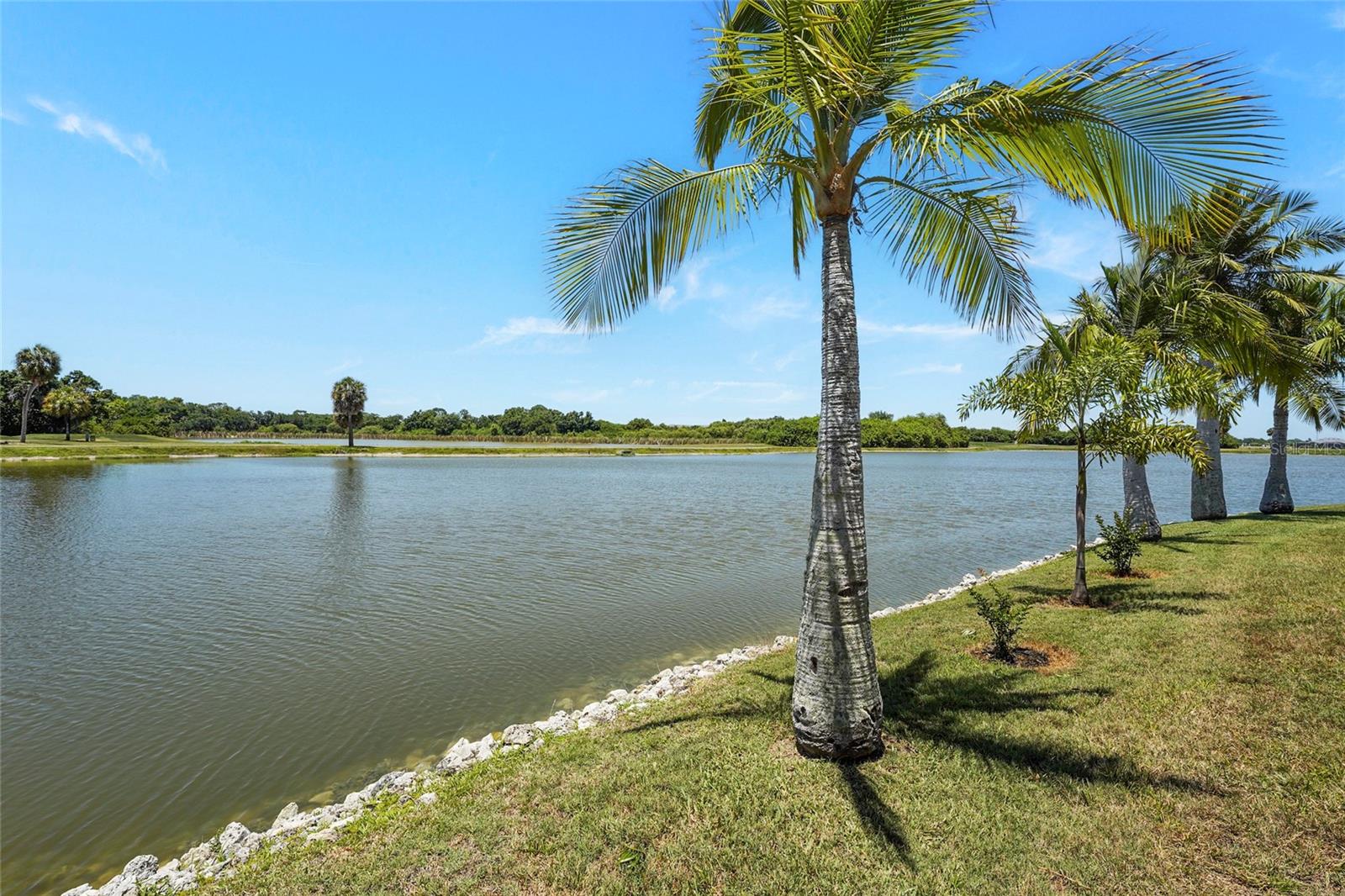 10591 OLD GROVE CIR, BRADENTON, FL, 34212