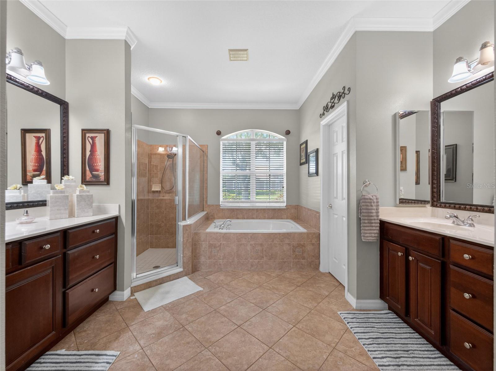 10354 OAKVIEW POINTE TER, GOTHA, FL, 34734