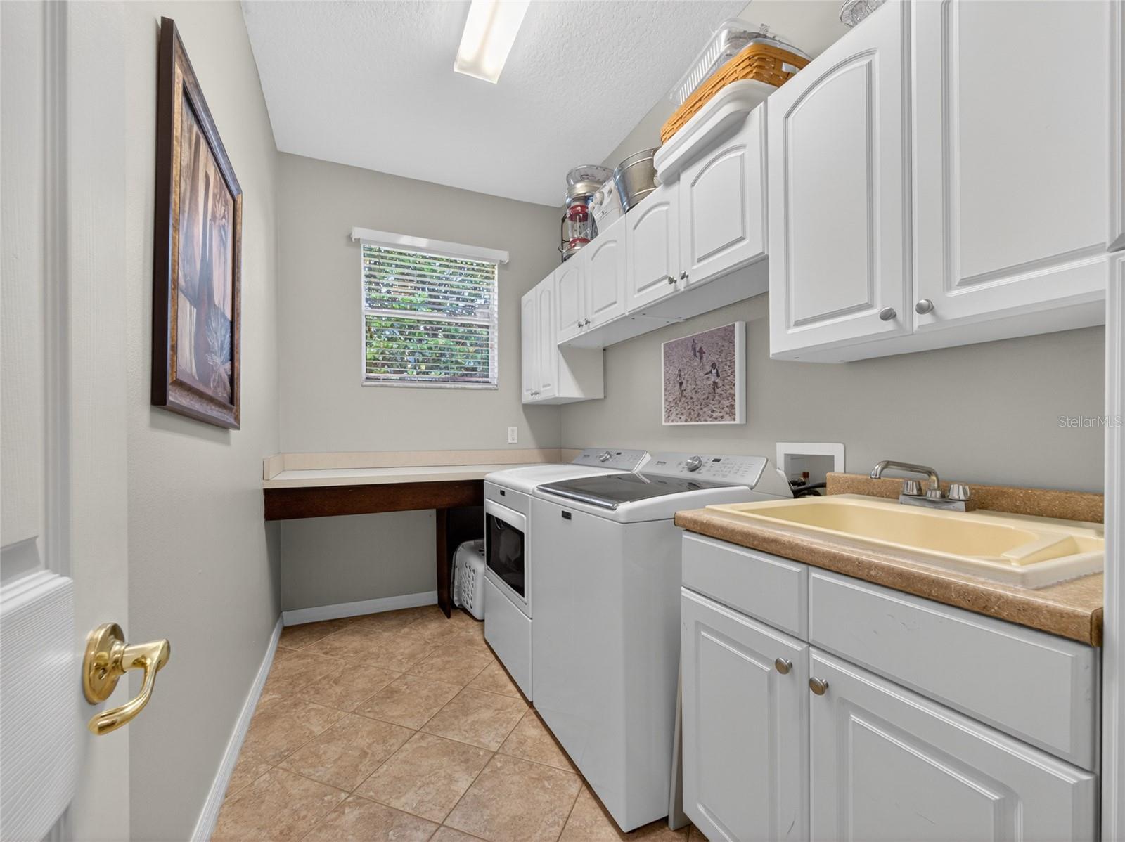 10354 OAKVIEW POINTE TER, GOTHA, FL, 34734