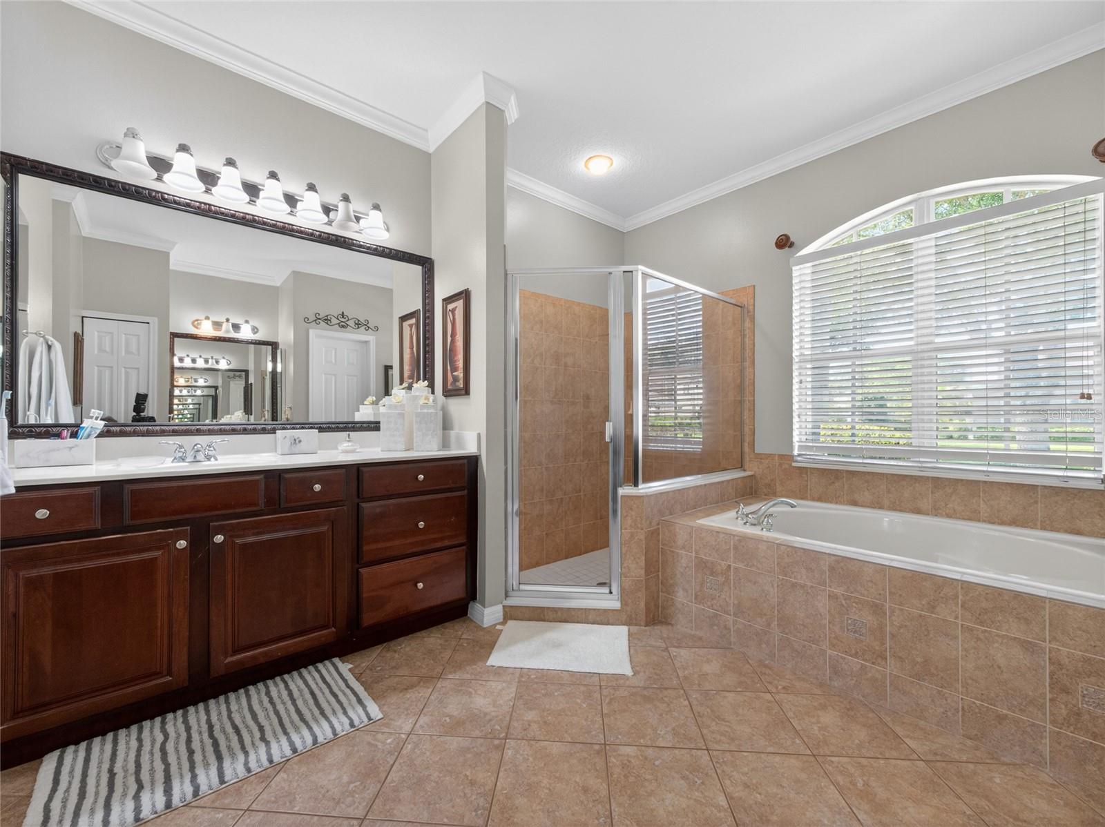 10354 OAKVIEW POINTE TER, GOTHA, FL, 34734