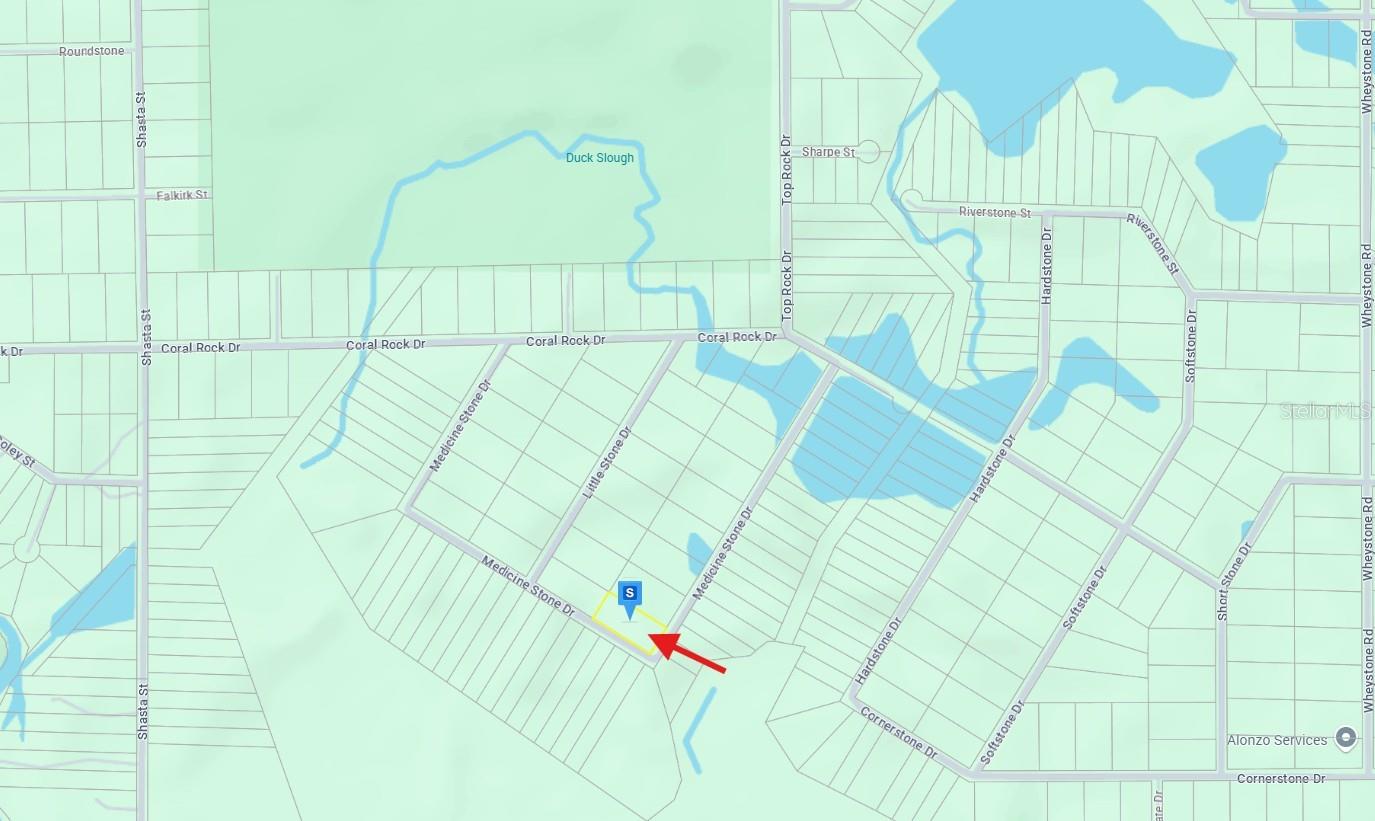 20122 MEDICINE STONE #10 DR, WEBSTER, FL, 33597