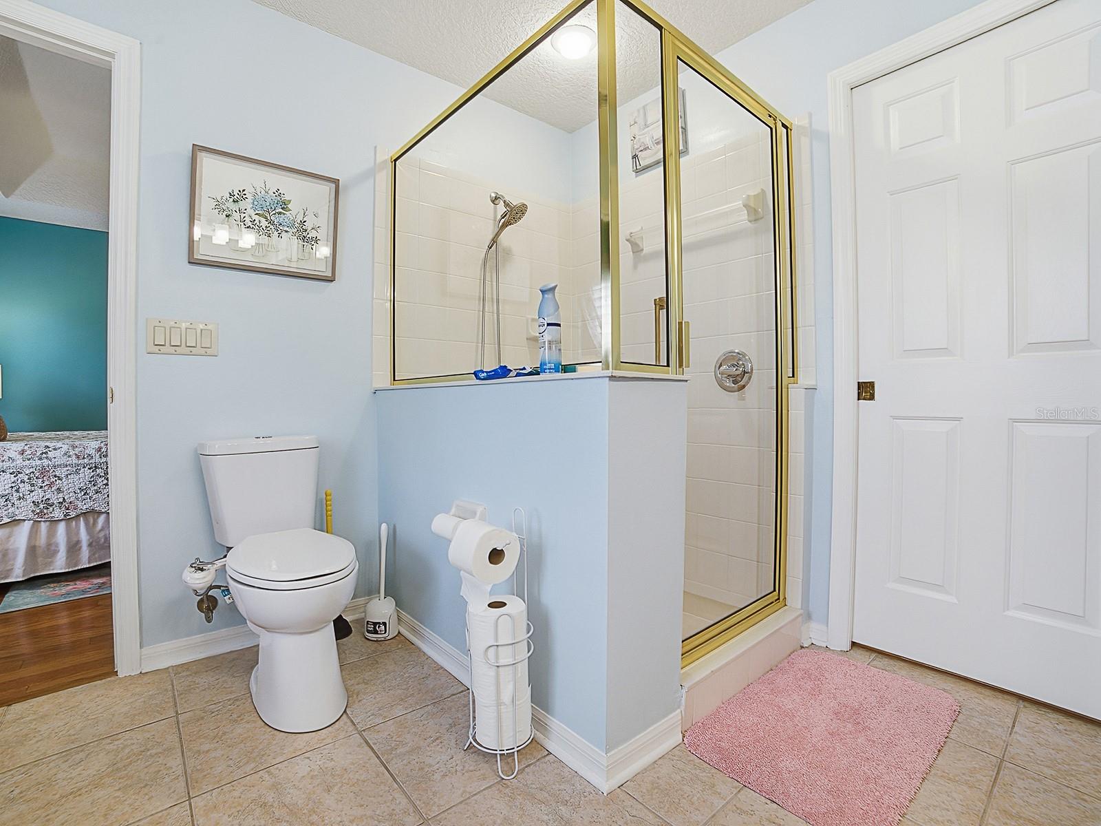 24317 BELLE MEDE DR, LEESBURG, FL, 34748