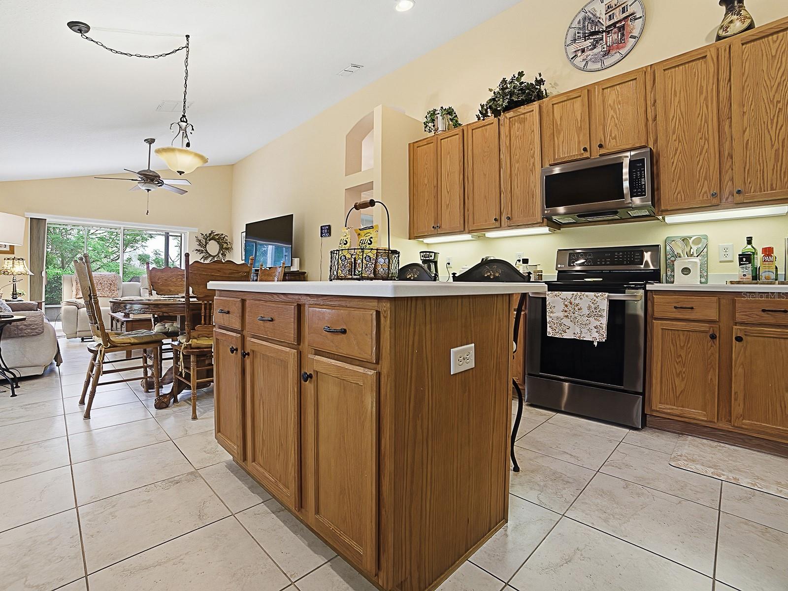24317 BELLE MEDE DR, LEESBURG, FL, 34748
