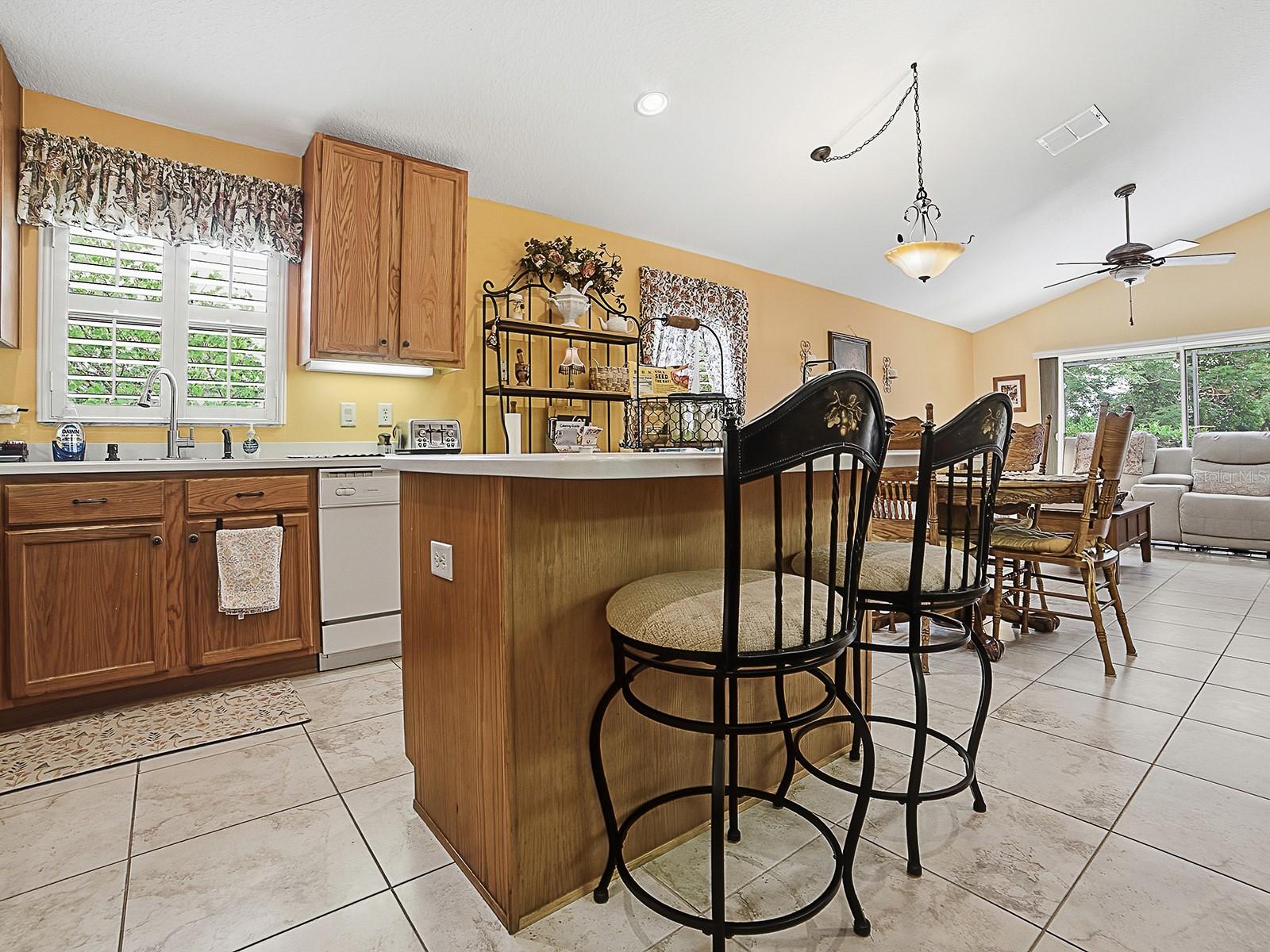 24317 BELLE MEDE DR, LEESBURG, FL, 34748