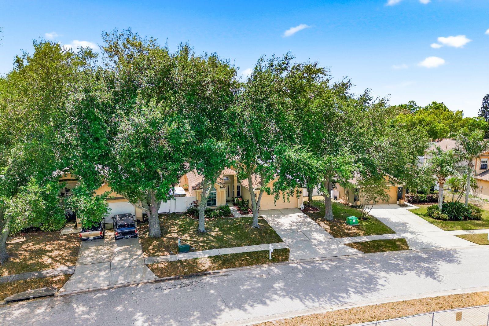 3228 BENTLEY DR, PALM HARBOR, FL, 34684