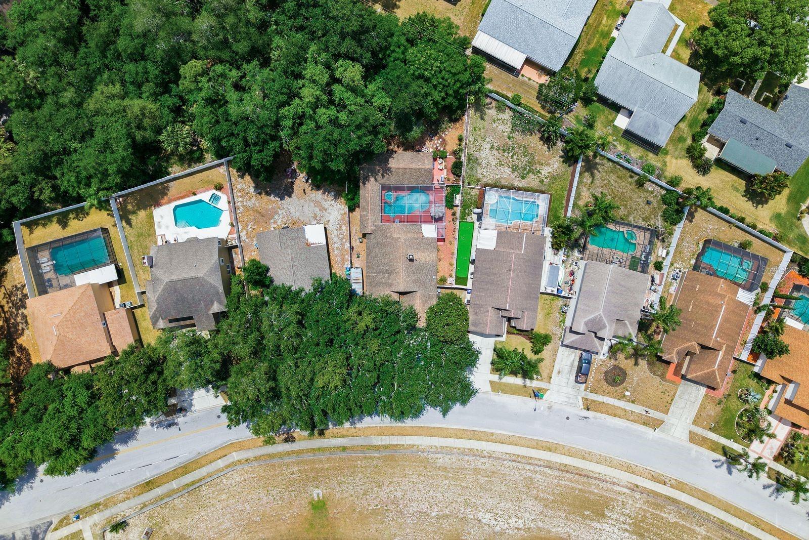 3228 BENTLEY DR, PALM HARBOR, FL, 34684