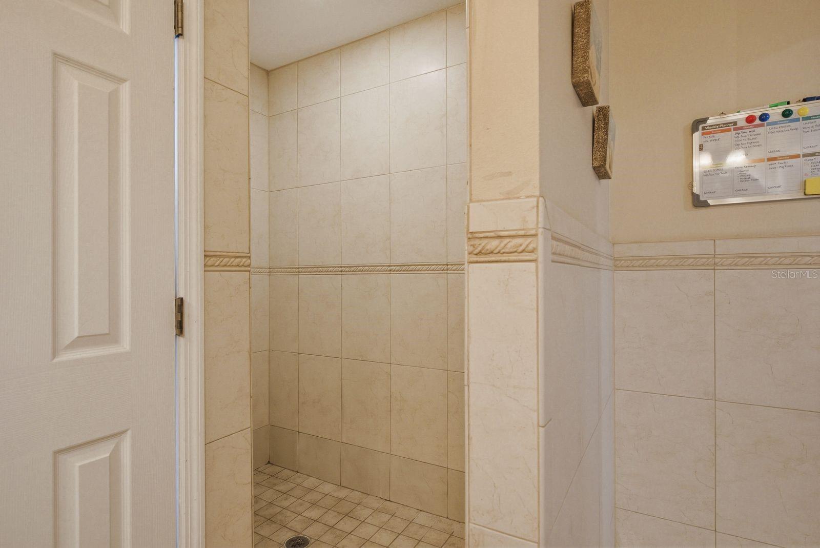 3228 BENTLEY DR, PALM HARBOR, FL, 34684