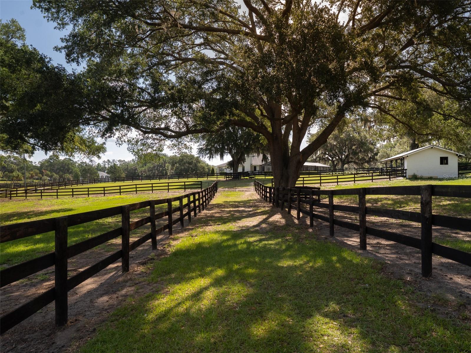 10250 NW 76TH TER, OCALA, FL, 34482