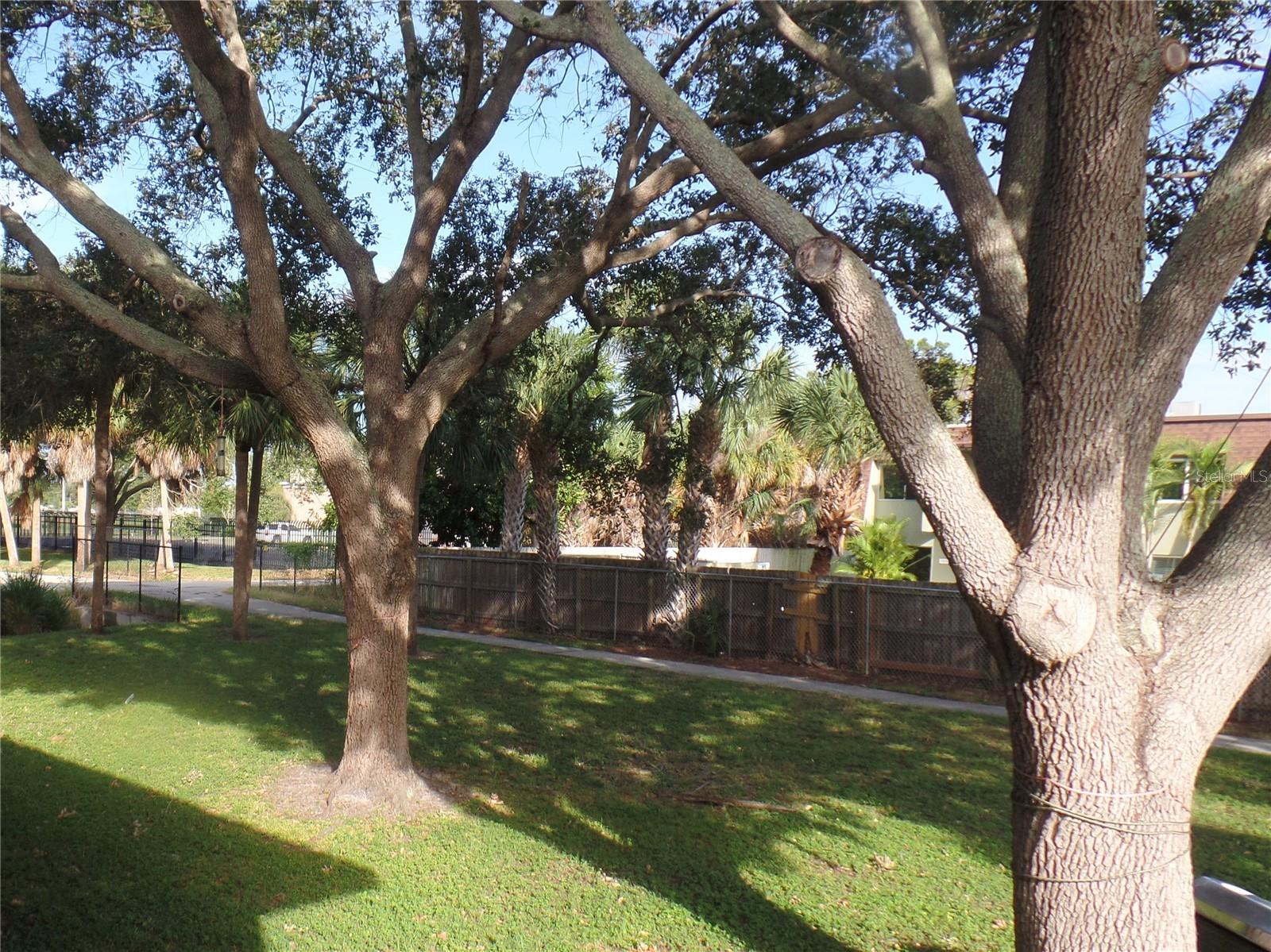1240 70TH ST N #9, ST PETERSBURG, FL, 33710