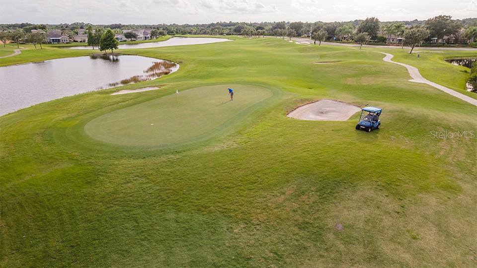 2119 SIFIELD GREENS WAY, SUN CITY CENTER, FL, 33573
