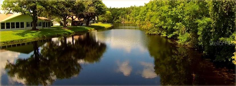 2119 SIFIELD GREENS WAY, SUN CITY CENTER, FL, 33573
