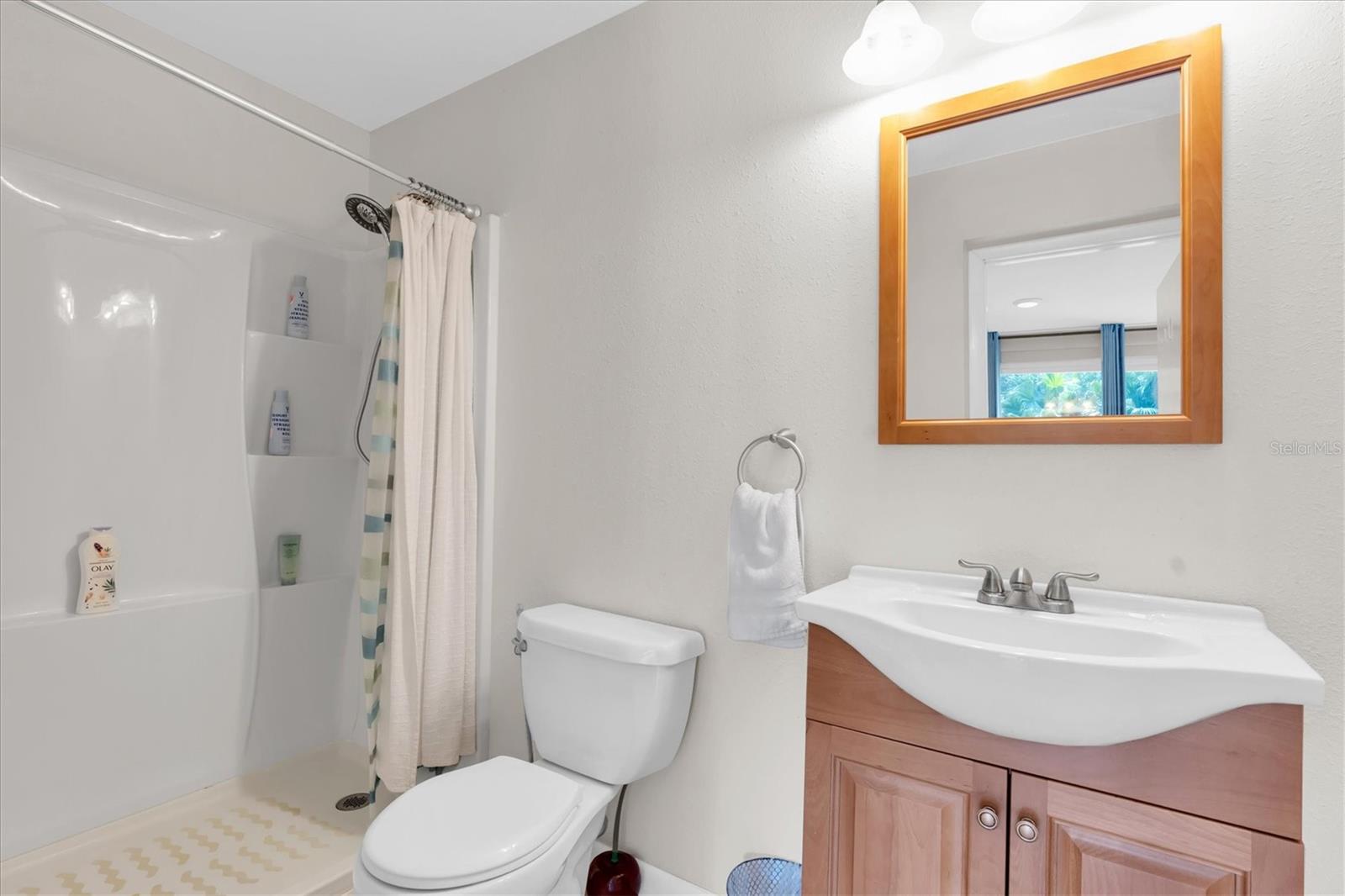 1243 BROOKSIDE DR, CLEARWATER, FL, 33764