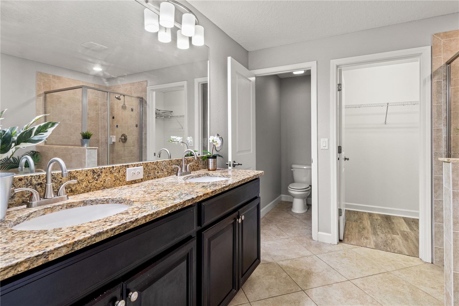 3281 GENTLE DELL, WESLEY CHAPEL, FL, 33543