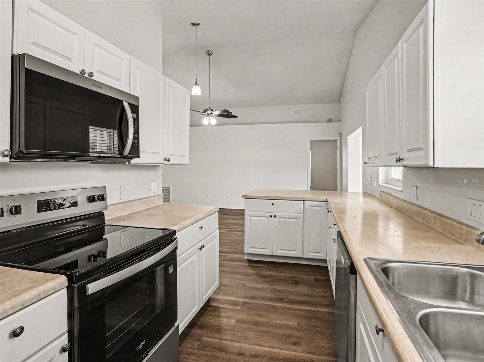 207 LAKE MCCOY DR, APOPKA, FL, 32712