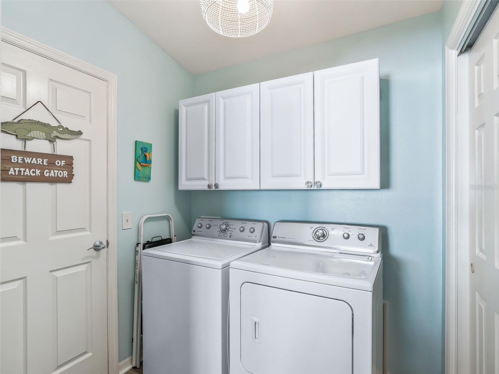 3742 VISCAYA CT, THE VILLAGES, FL, 32163