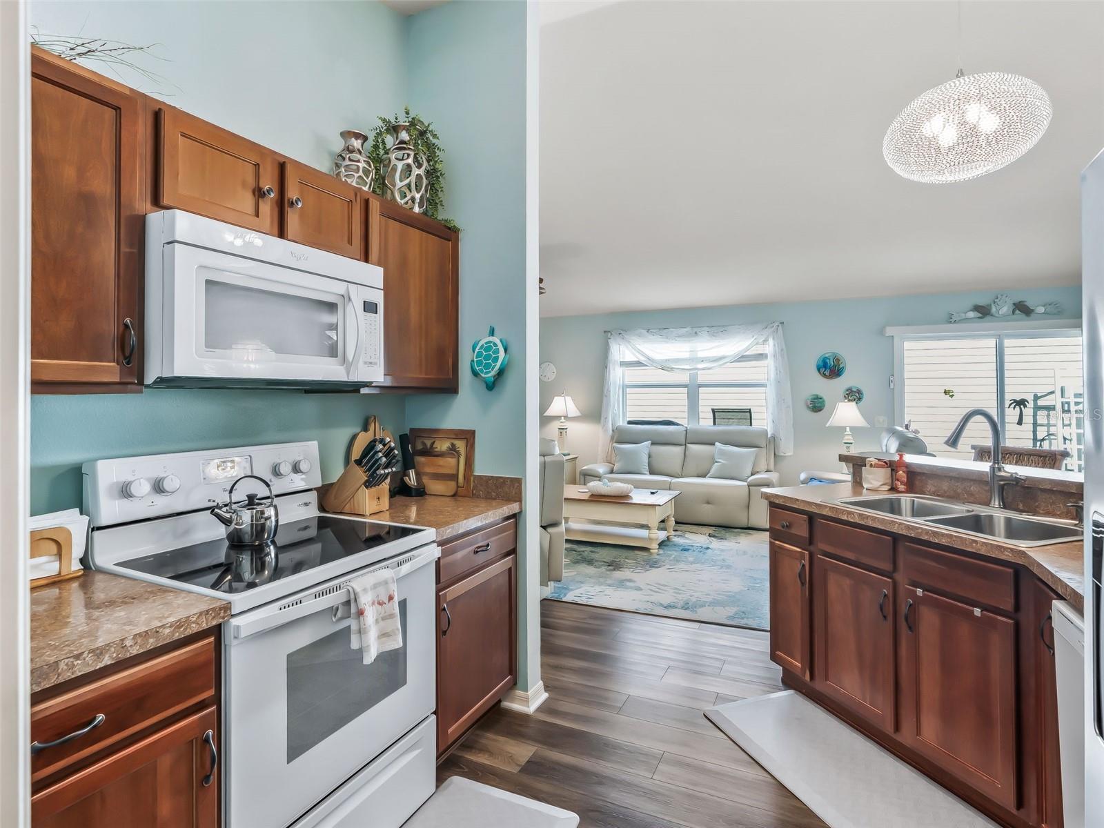 3742 VISCAYA CT, THE VILLAGES, FL, 32163