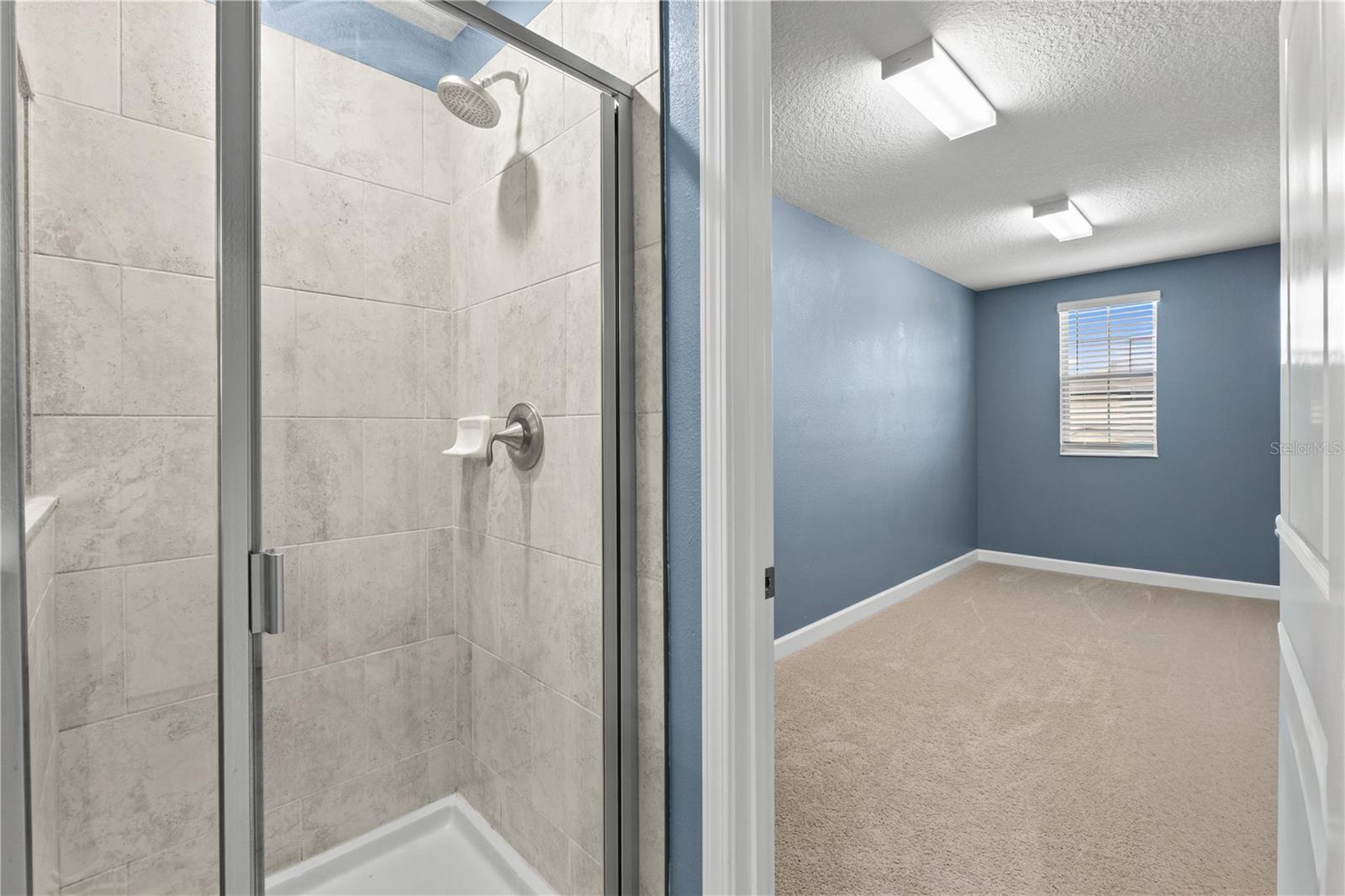 4516 TUBULAR RUN, LAND O LAKES, FL, 34638