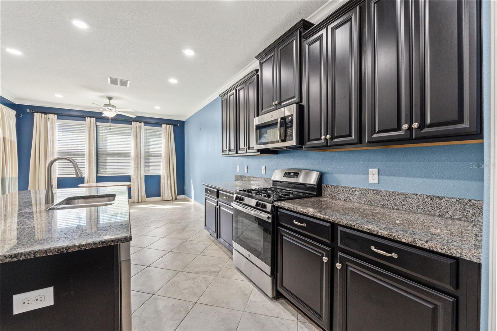 4516 TUBULAR RUN, LAND O LAKES, FL, 34638