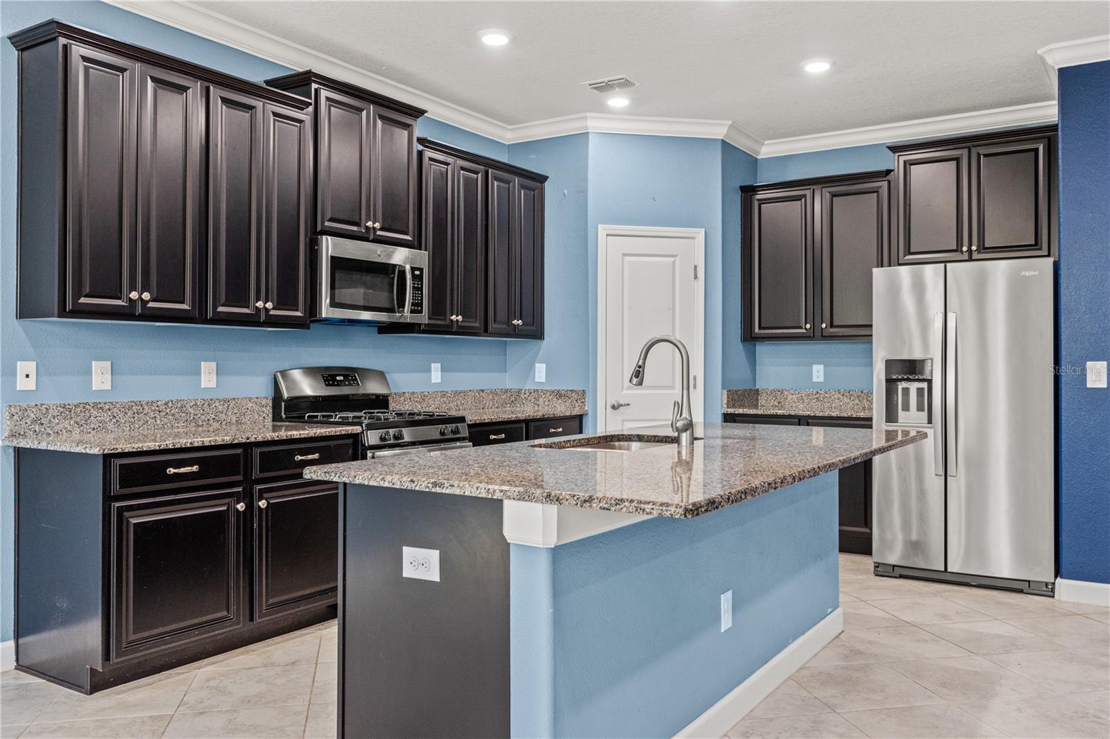 4516 TUBULAR RUN, LAND O LAKES, FL, 34638