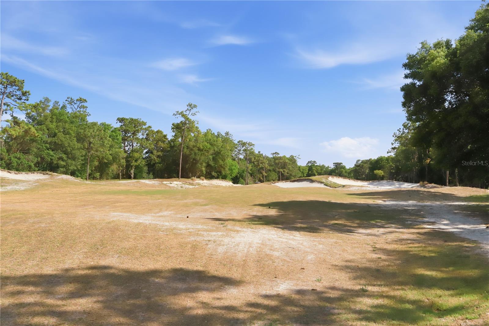 423 VICTORIA HILLS DR, DELAND, FL, 32724