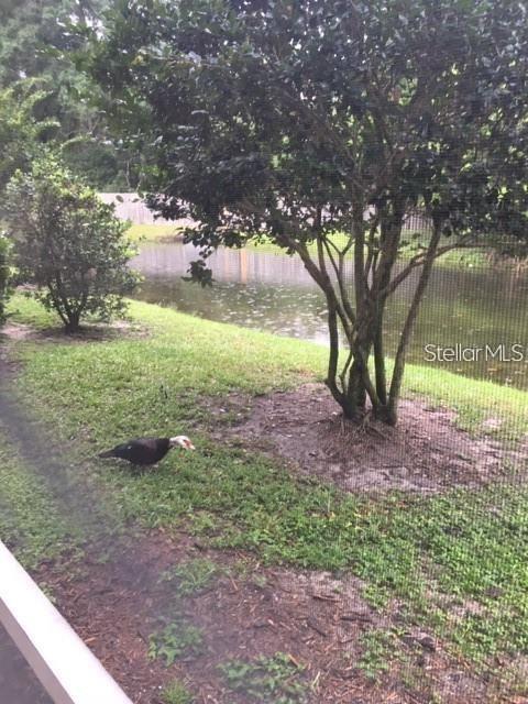 4134 BISMARCK PALM DR, TAMPA, FL, 33610