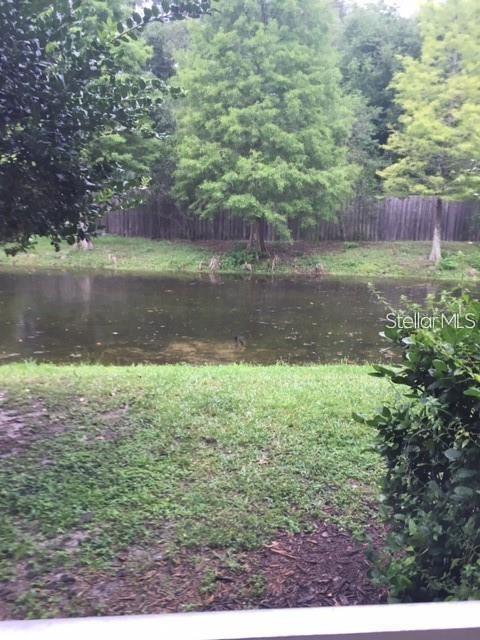 4134 BISMARCK PALM DR, TAMPA, FL, 33610