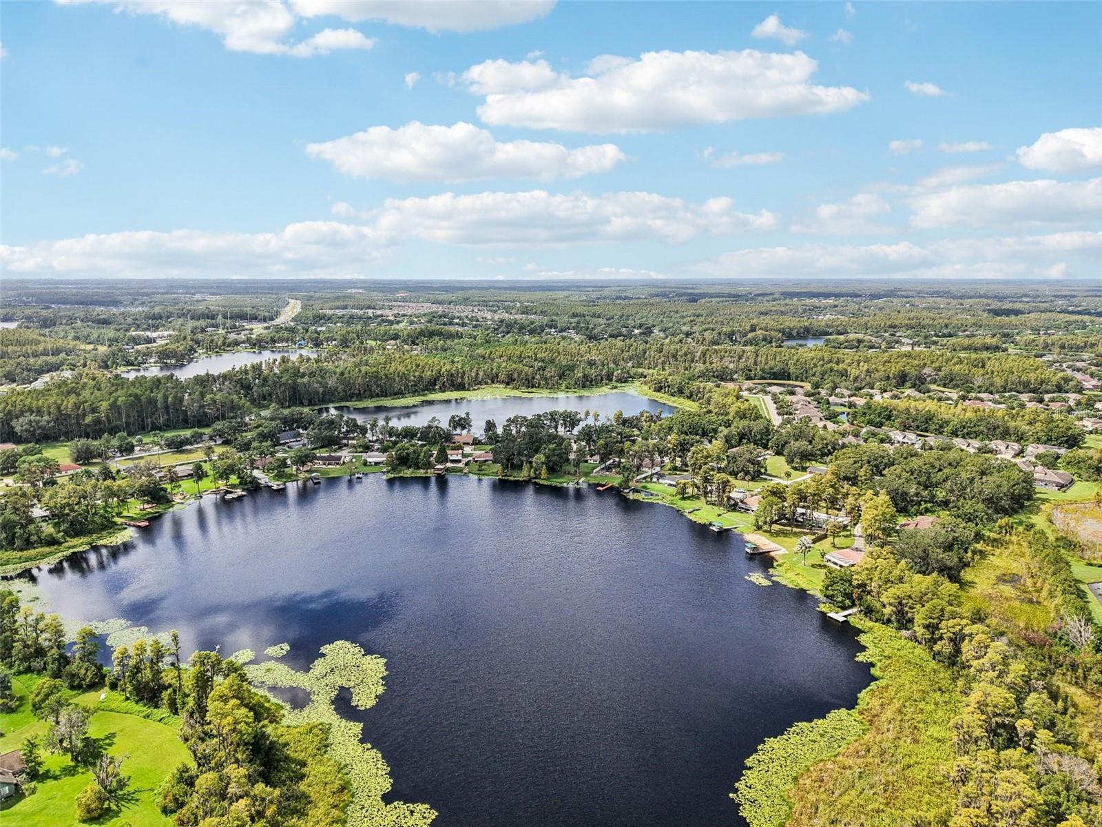 19254 BLOUNT RD, LUTZ, FL, 33558