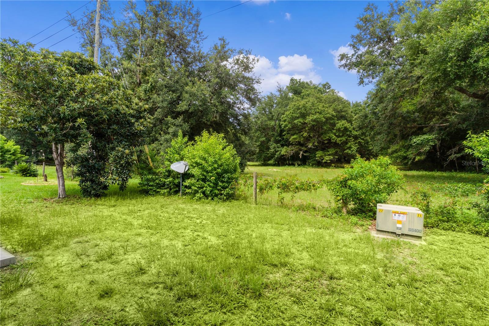 1709 E SCHWARTZ BLVD, THE VILLAGES, FL, 32159