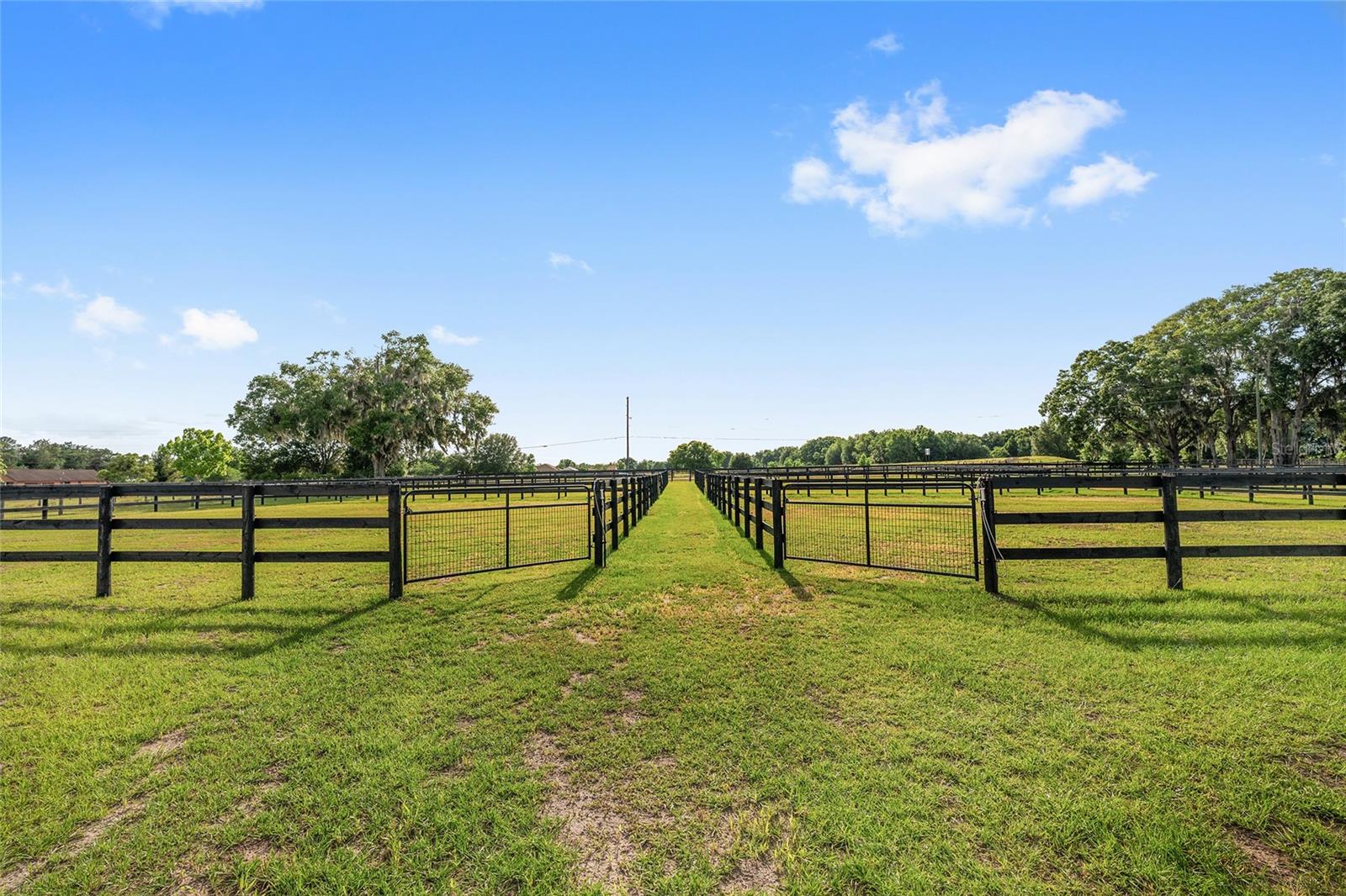 663 NW 80TH AVE, OCALA, FL, 34482