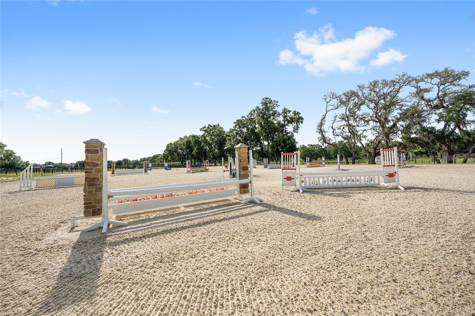 663 NW 80TH AVE, OCALA, FL, 34482