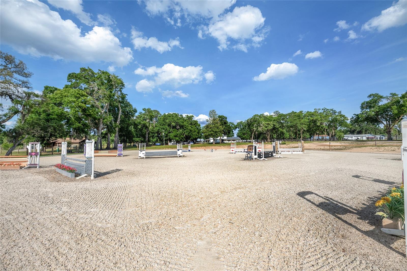 663 NW 80TH AVE, OCALA, FL, 34482