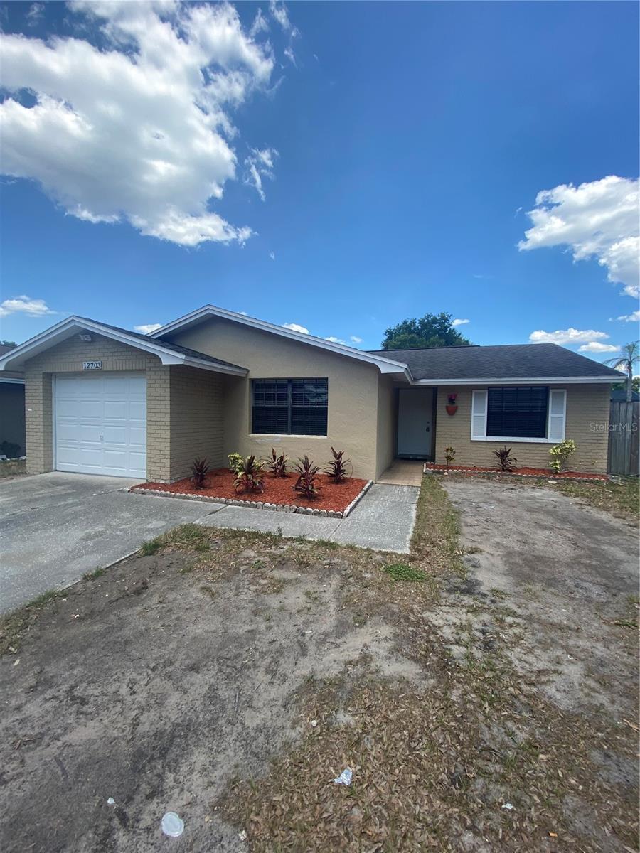 12703 ALIDA PL, TAMPA, FL, 33625