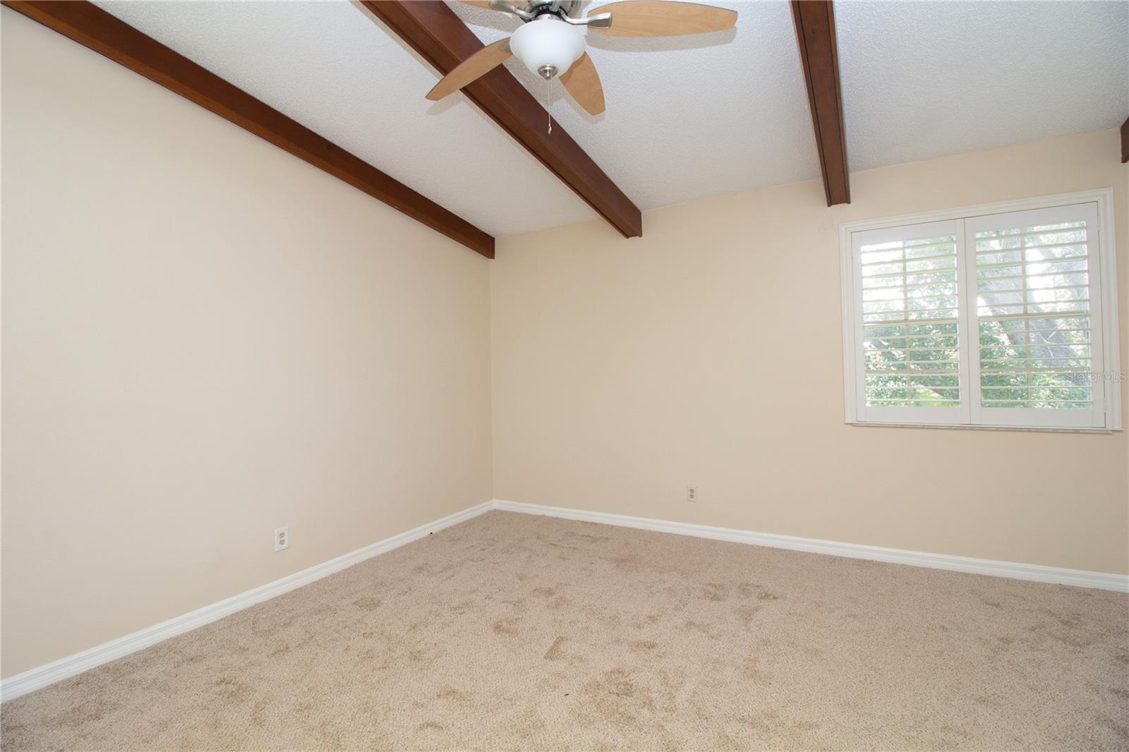 2675 SEQUOIA TER, PALM HARBOR, FL, 34683