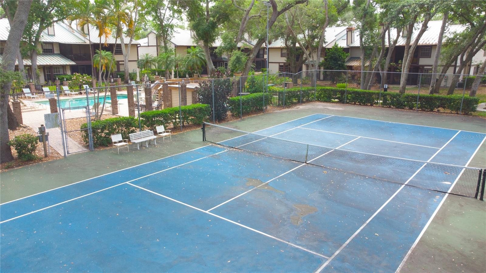 2675 SEQUOIA TER, PALM HARBOR, FL, 34683