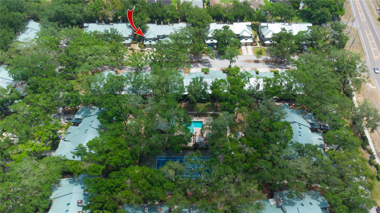 2675 SEQUOIA TER, PALM HARBOR, FL, 34683