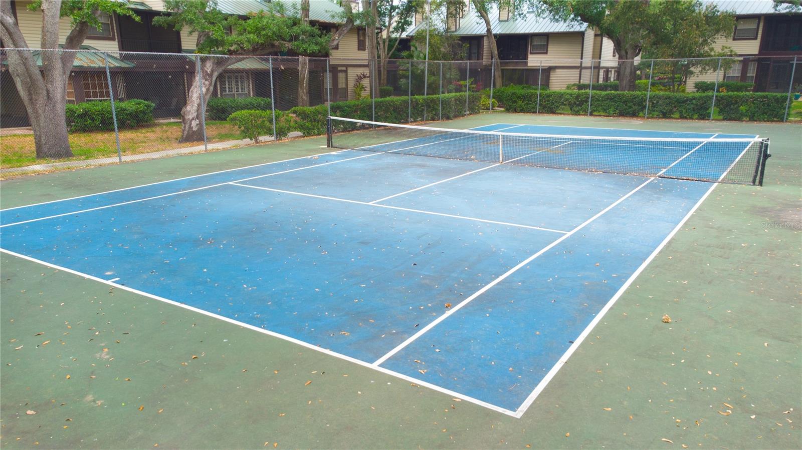 2675 SEQUOIA TER, PALM HARBOR, FL, 34683