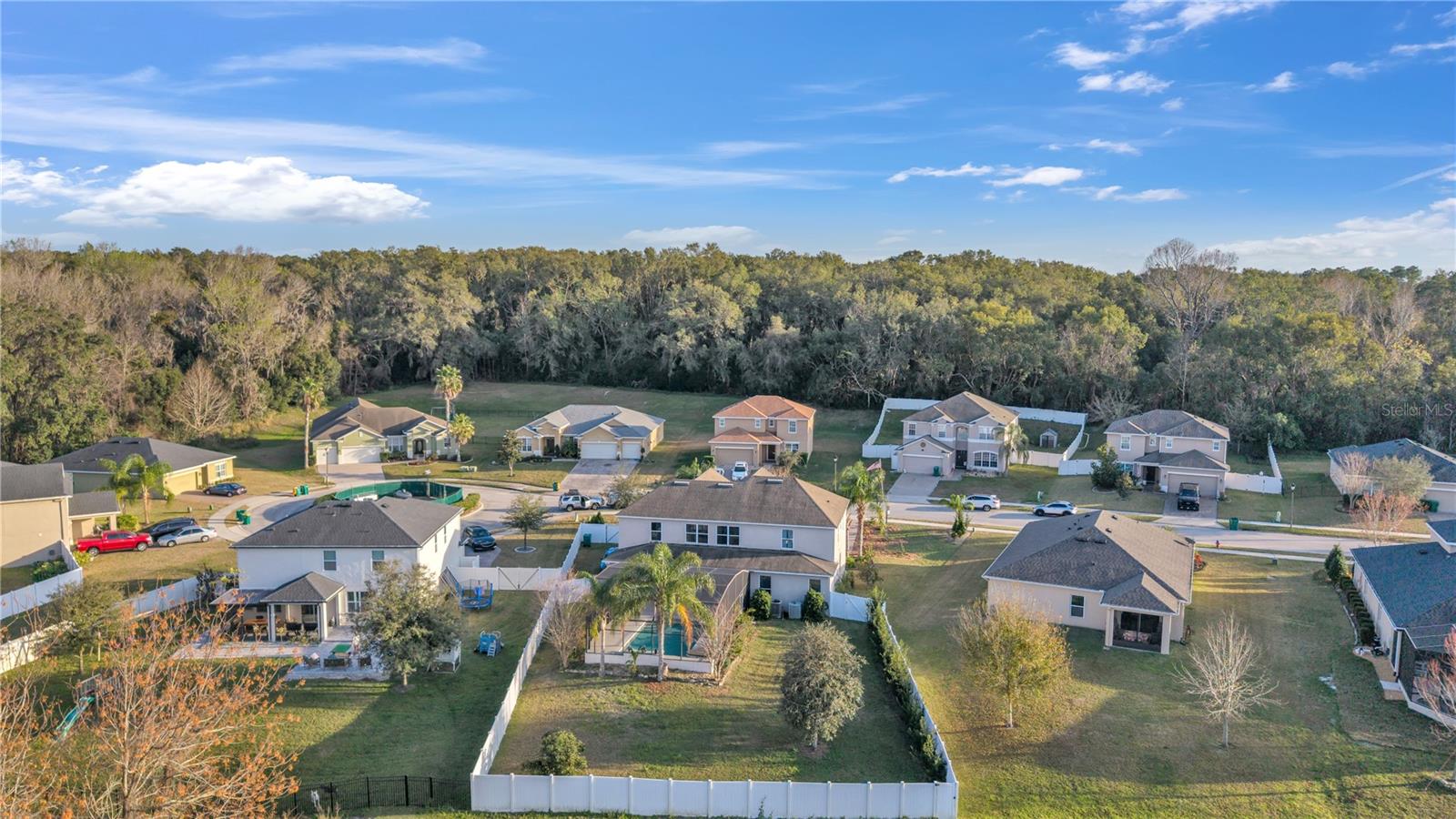 3463 CREEK RUN LN, EUSTIS, FL, 32736